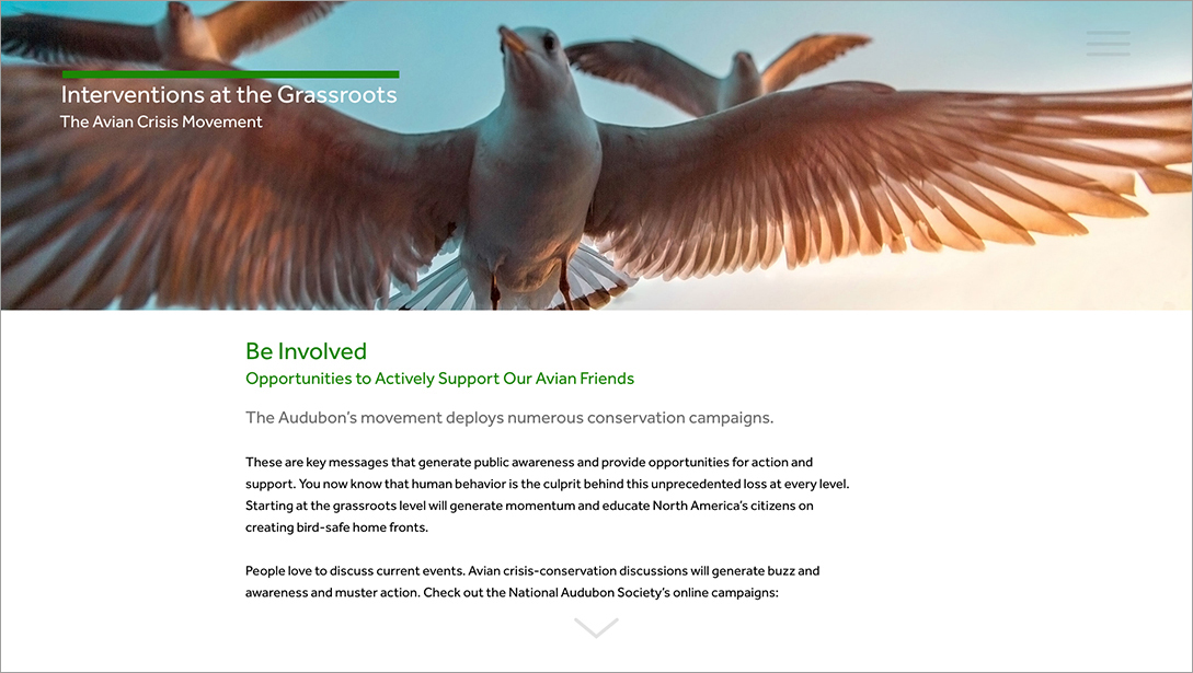 The Avian Crisis Enviromental Resources story 1.